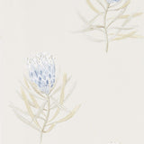 Sanderson Tapet Protea Flower