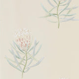 Sanderson Tapet Protea Flower