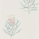 Sanderson Tapet Protea Flower
