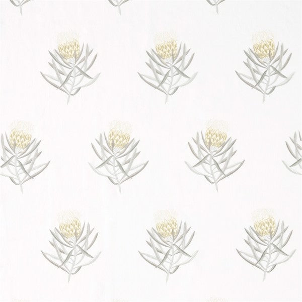 Protea Flower Daffodil/Natural — Sanderson fabric sample