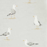Sanderson Tapet Shore Birds