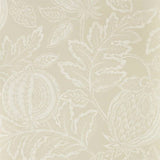 Sanderson Tapet Cantaloupe