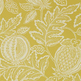Sanderson Tapet Cantaloupe