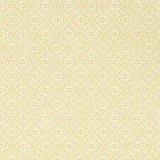 Sanderson Tapet Pinjara Trellis