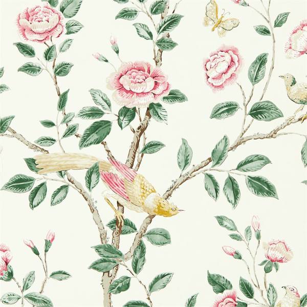 Sanderson Tapet Andhara Tapetprov - Rose/Cream