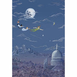 Sanderson Tapet Peter Pan
