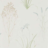 Sanderson Tapet Farne Grasses