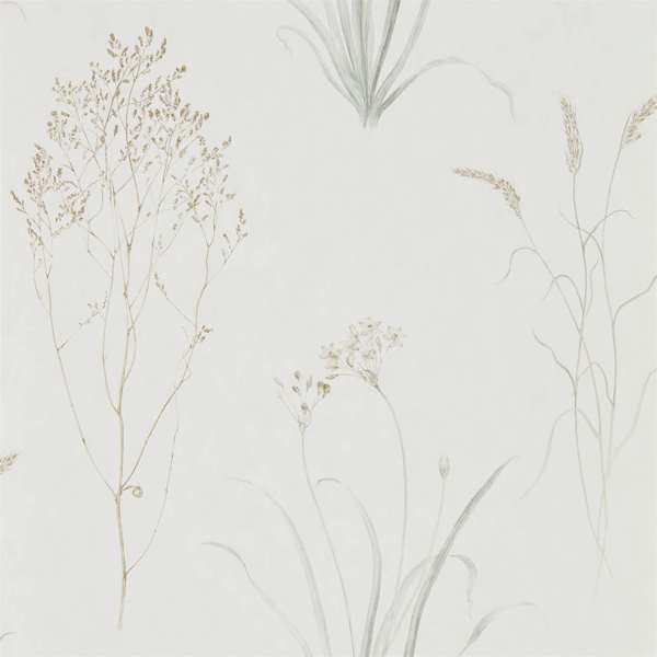 Sanderson Tapet Farne Grasses