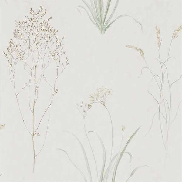 Sanderson Tapet Farne Grasses