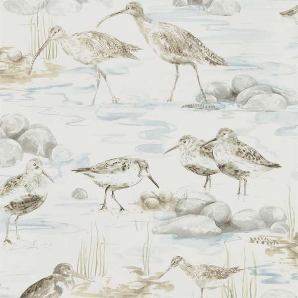Sanderson Tapet Estuary Birds