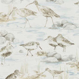 Sanderson Tapet Estuary Birds
