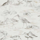 Sanderson Tapet Estuary Birds