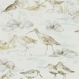 Sanderson Tapet Estuary Birds