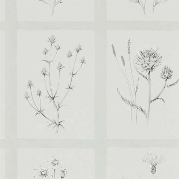 Sanderson Tapet Little Thistles