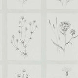 Sanderson Tapet Little Thistles