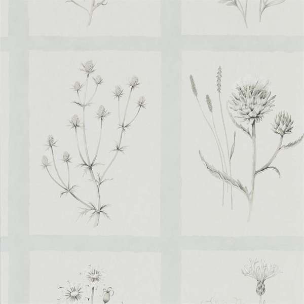 Sanderson Tapet Little Thistles