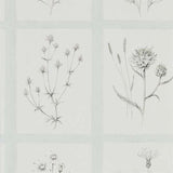 Sanderson Tapet Little Thistles