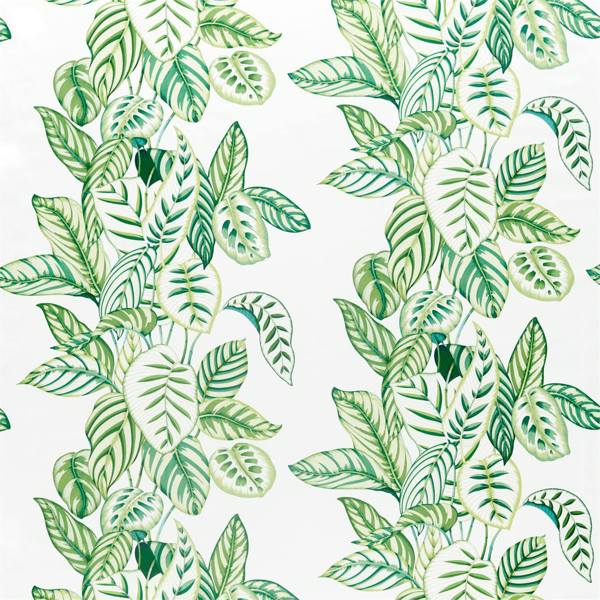 Sanderson Tyg Calathea — Glasshouse Fabrics Tygprov