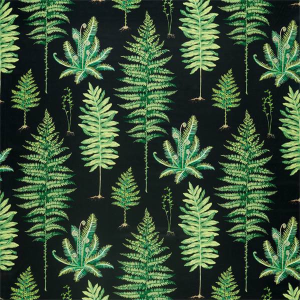 Sanderson Tyg Fernery