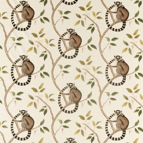 Ringtailed Lemur Ringtailed Lemur Olive — Sanderson fabric sample