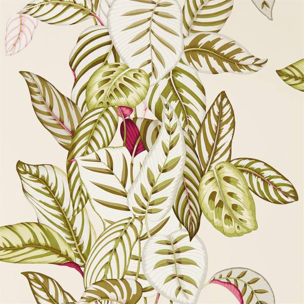 Sanderson Tapet Calathea
