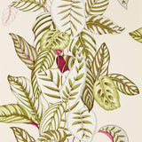 Sanderson Tapet Calathea