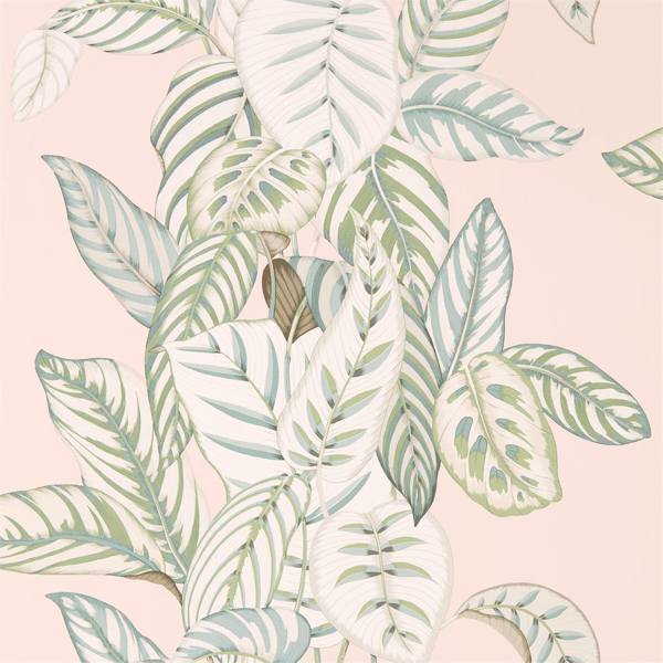 Sanderson Tapet Calathea