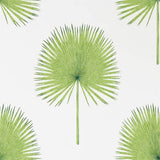 Sanderson Tapet Fan Palm