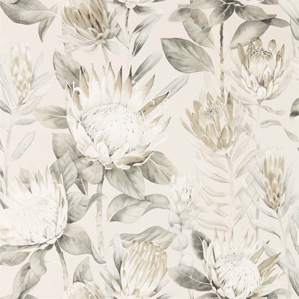 Sanderson Tapet King Protea