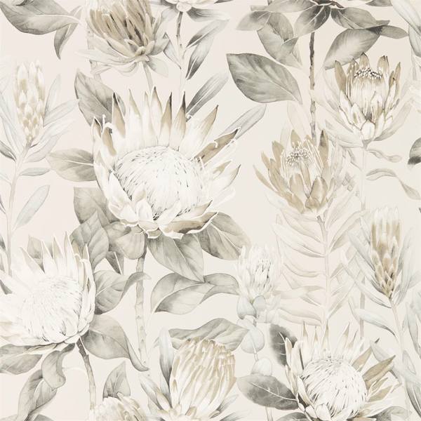 Sanderson Tapetprov King Protea