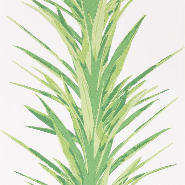 Sanderson Tapet Yucca