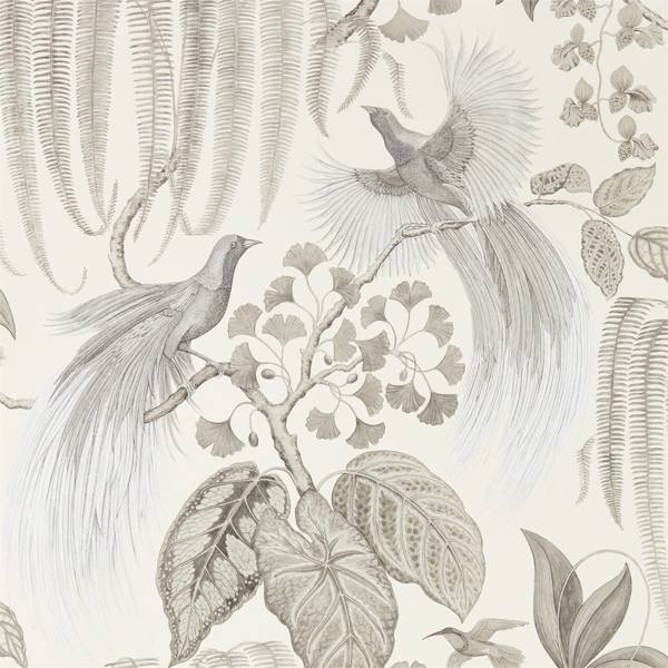Sanderson Tapet Bird of Paradise