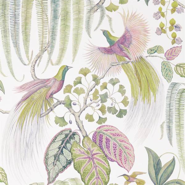 Sanderson Tapet Bird of Paradise