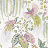 Sanderson Tapet Bird of Paradise