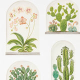 Sanderson Tapet Terrariums