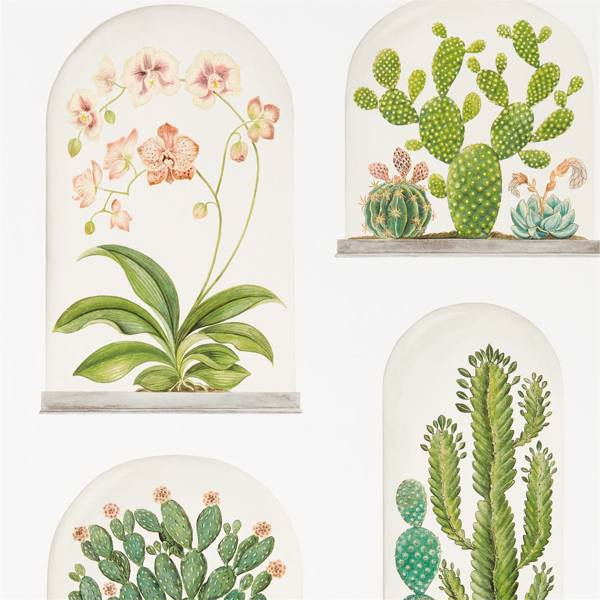 Terrariums Tapet — Sanderson
