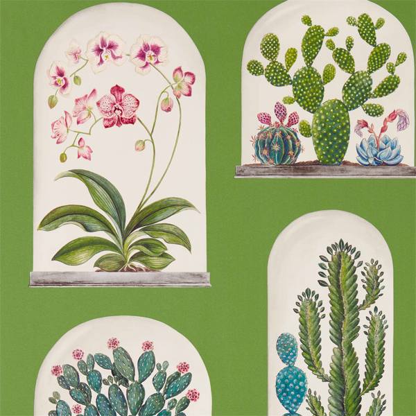 Sanderson Tapet Terrariums