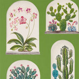 Sanderson Tapet Terrariums