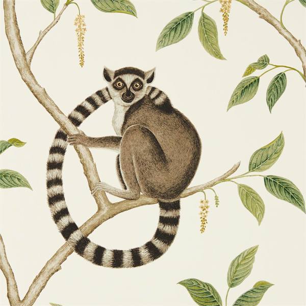 Sanderson Tapet Ringtailed Lemur