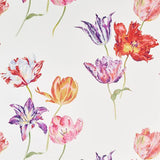 Sanderson Tapet Tulipomania