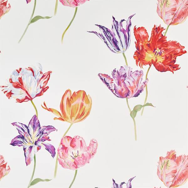 Tulipomania Tapet — Sanderson