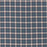 Sanderson Tygprov Fenton Check