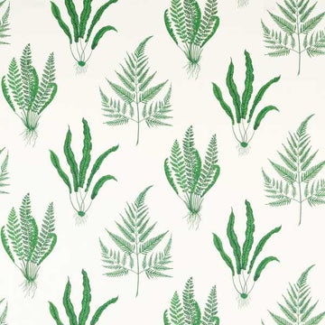 Sanderson Tygprov Woodland Ferns