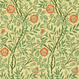 Morris & Co Tapet Sweet Briar