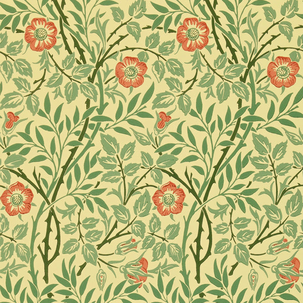 Morris & Co Tapet Sweet Briar