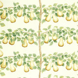 Sanderson Tygprov Perry Pears