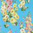 Fire Pink/Bright Blue