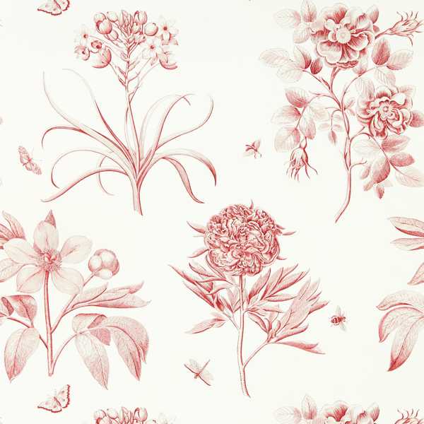 Sanderson Tapetprov Etchings & Roses