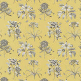 Sanderson Tygprov Etchings & Roses