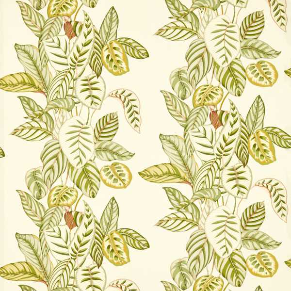 Sanderson Tygprov Calathea